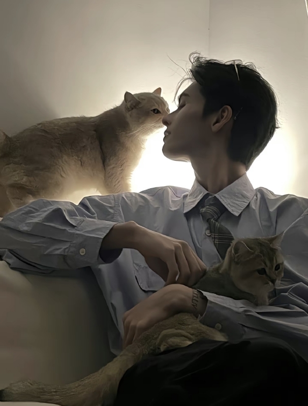 怪猫的第一张照片--江门交友中心